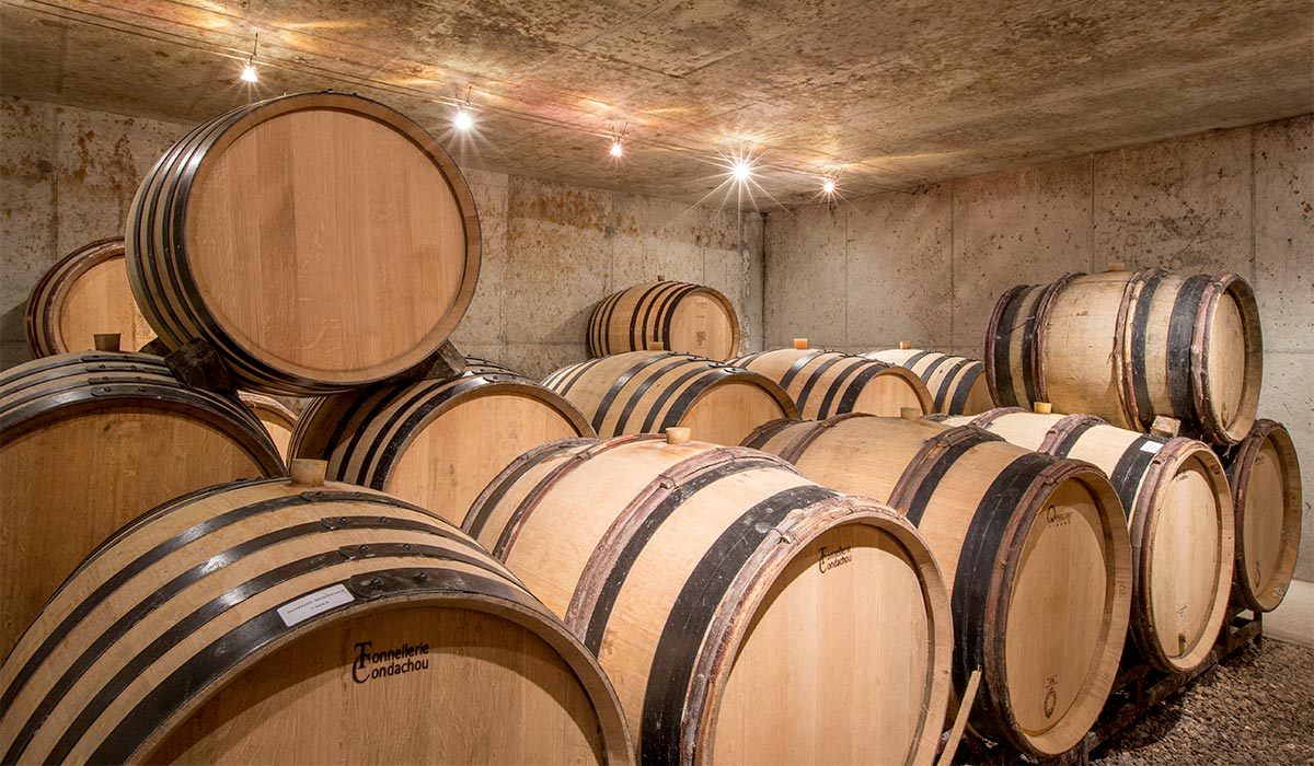 The white wines cellar